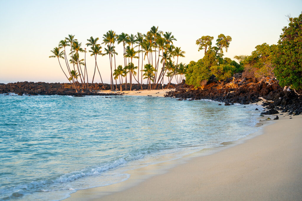 A tropical beach with soft sand, clear turquoise water, and gentle waves. Tall palm trees and lush greenery line the shore, with black volcanic rocks scattered along the coastline under soft sunlight.