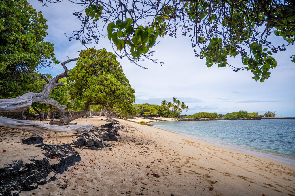 A serene tropical beach with golden sand, clear blue water, scattered rocks, lush green trees, and palm trees in the distance under a partly cloudy sky.