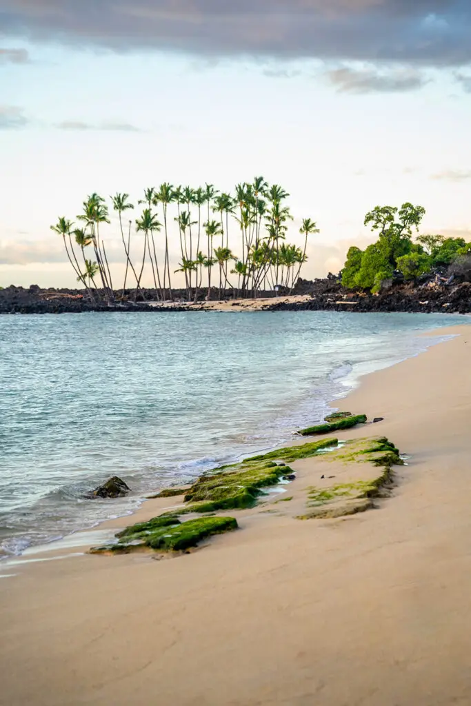Sandy beach with gentle waves, moss-covered rocks in the foreground, and a cluster of tall palm trees on a small rocky island—perfect for capturing stunning Mahaiula Beach photos under a partly cloudy sky.