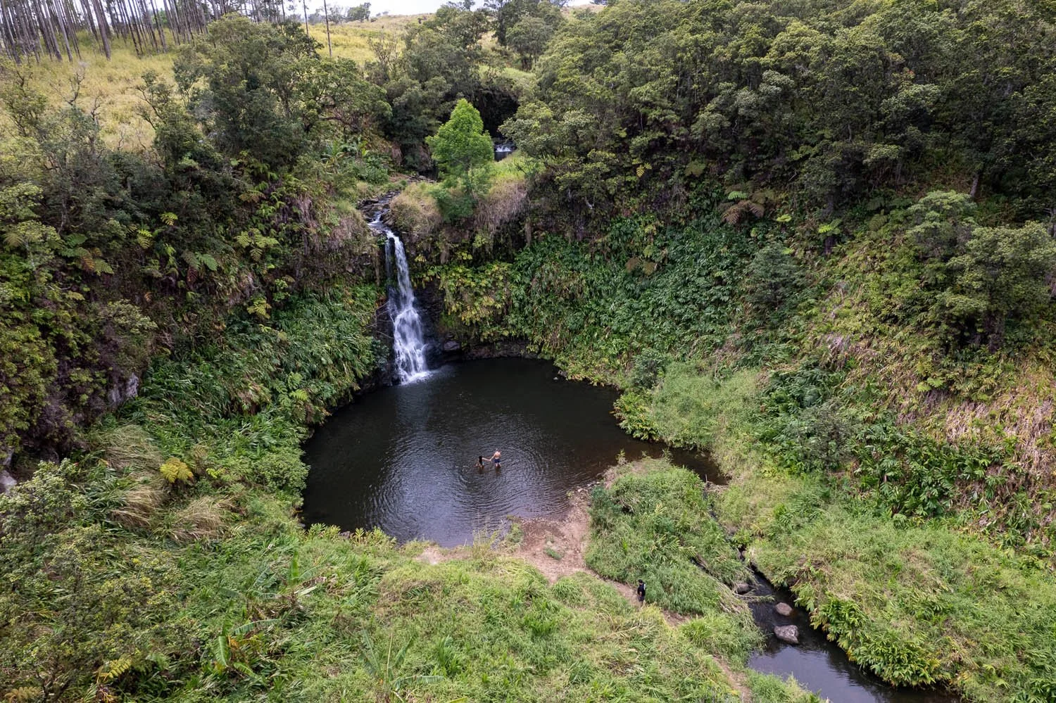 Hawaii-Adventure-Portraits-Waterfall.jpg