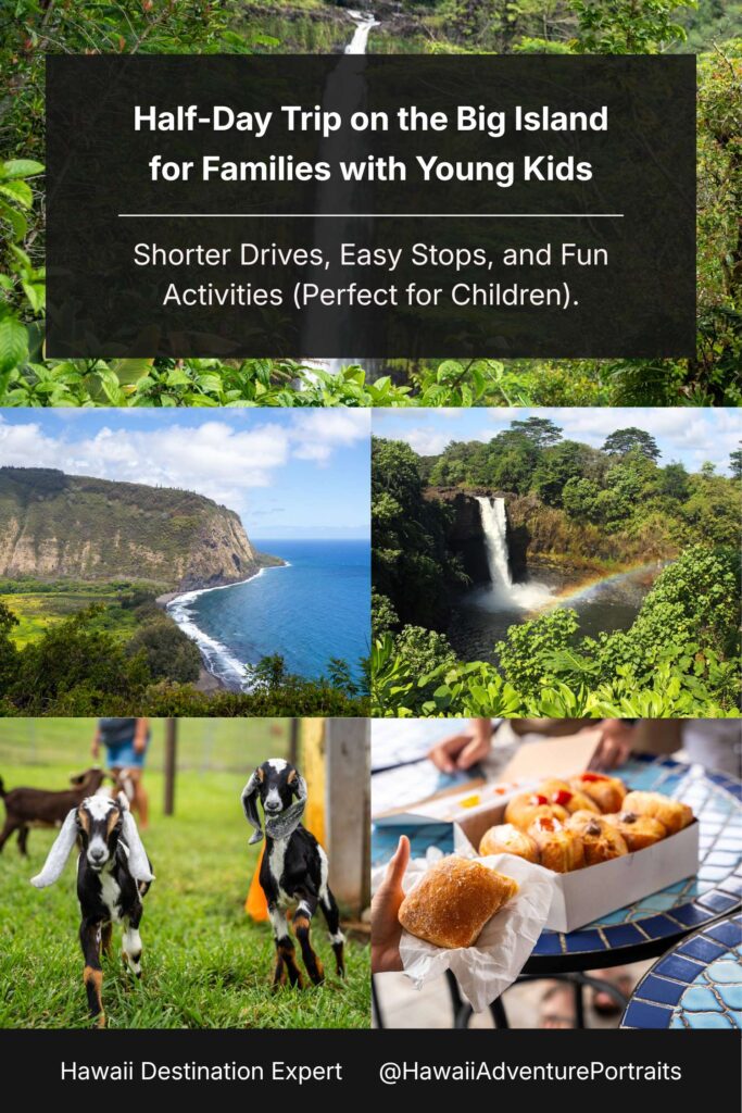 Half Day Trip on the Big Island for Families with Young Kids ()