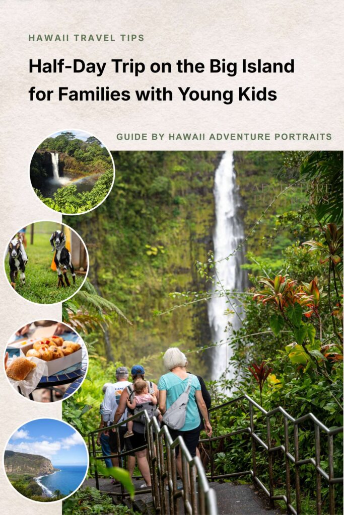 Half Day Trip on the Big Island for Families with Young Kids ()