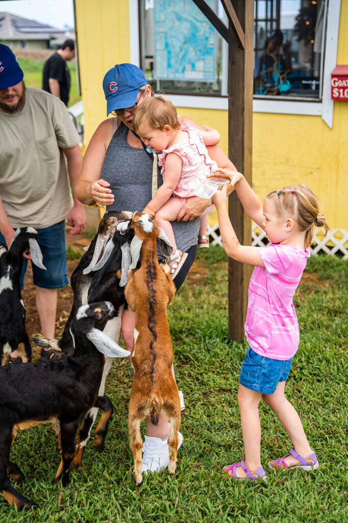 A woman holds a baby while a young girl in pink feeds treats to several goats standing on their hind legs near a yellow building at Honomu Goat Dairy Farm, one of the easy half day trips for families with young kids on the Big Island.