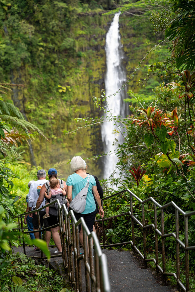 A group of people walk down a lush, green path with metal railings toward Akaka Falls—a tall waterfall cascading down a mossy cliff. Tropical plants surround the walkway, making it one of the best easy half day trips for families with young kids on the Big Island.
