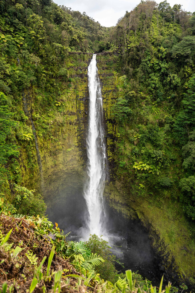 A tall, narrow waterfall cascades down a lush, green cliff surrounded by dense forest and vegetation at Akaka Falls near Hilo, Hawaii, ending in a misty pool at the base.