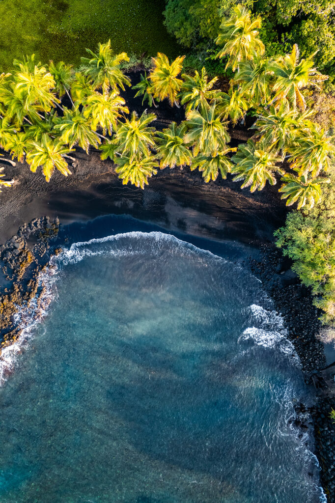 Vertical aerial view of Punaluʻu Black Sand Beach on the Big Island of Hawaii, showing palm trees and turquoise ocean waves.