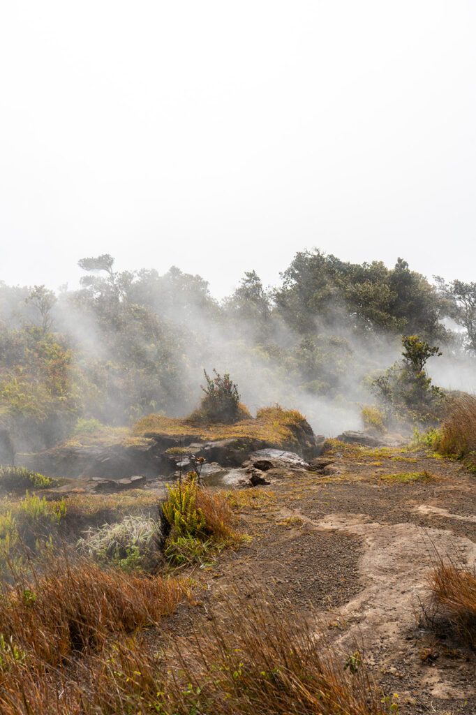 Steam rising from the ground along the Sulfur Banks Trail at Hawaii Volcanoes National Park, surrounded by native plants and volcanic terrain.