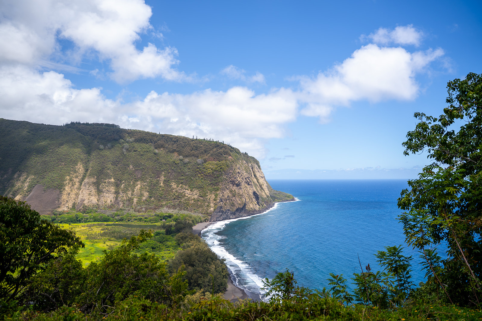 Panoramic view of Waipiʻo Valley Lookout cliffs and ocean on a family day trip on the Big Island of Hawaii