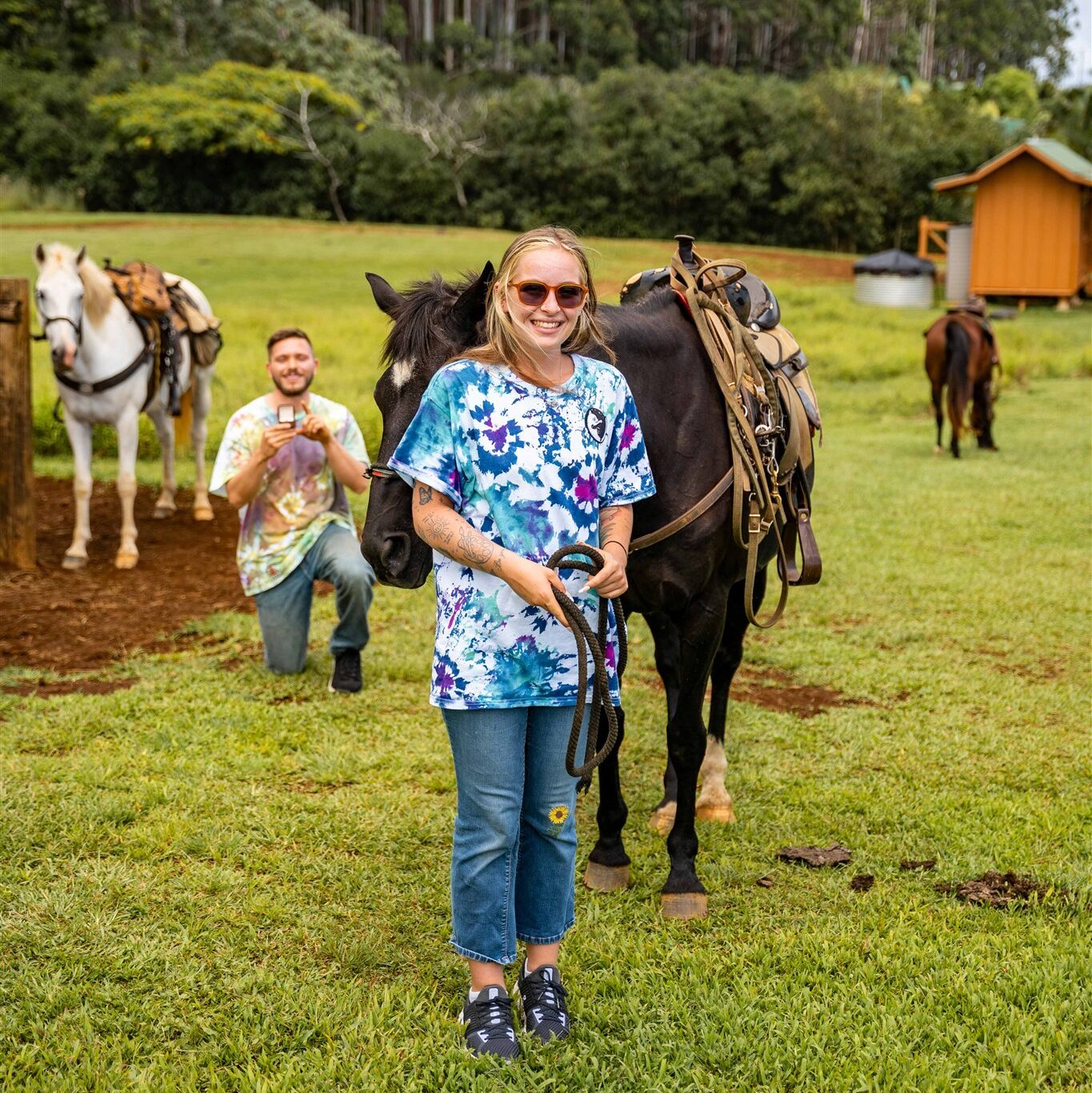 Man kneeling to propose during a Hawaii horseback proposal at Wailea Horseback Adventures