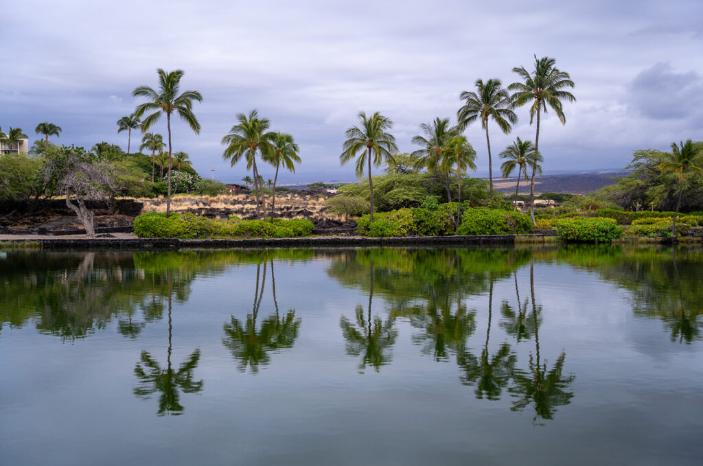 Palm trees and green shrubs line the shore of a calm lagoon at Anaehoomalu Beach, their reflections visible in the water below. The overcast sky and gray clouds create a peaceful and serene setting, perfect for a memorable Anaehoomalu Beach proposal.