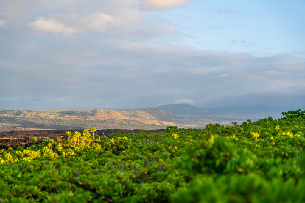 Scenic landscape with lush green shrubs in the foreground, rolling hills in the distance, and a partly cloudy sky above&mdash;perfect for an Anaehoomalu Beach proposal bathed in soft sunlight.