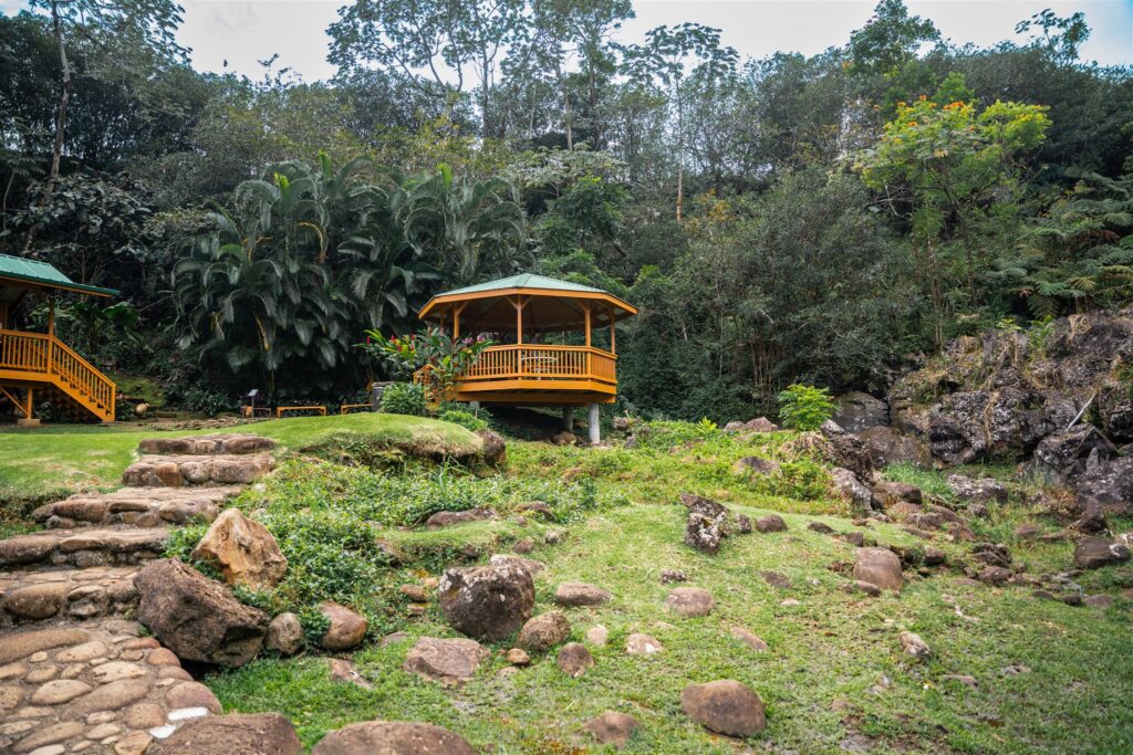 A wooden gazebo with a green roof sits among lush greenery and trees, reminiscent of a Hawaii horseback proposal. Stone steps and rocks lead to the gazebo, surrounded by grass, plants, and a forested backdrop under a cloudy sky.