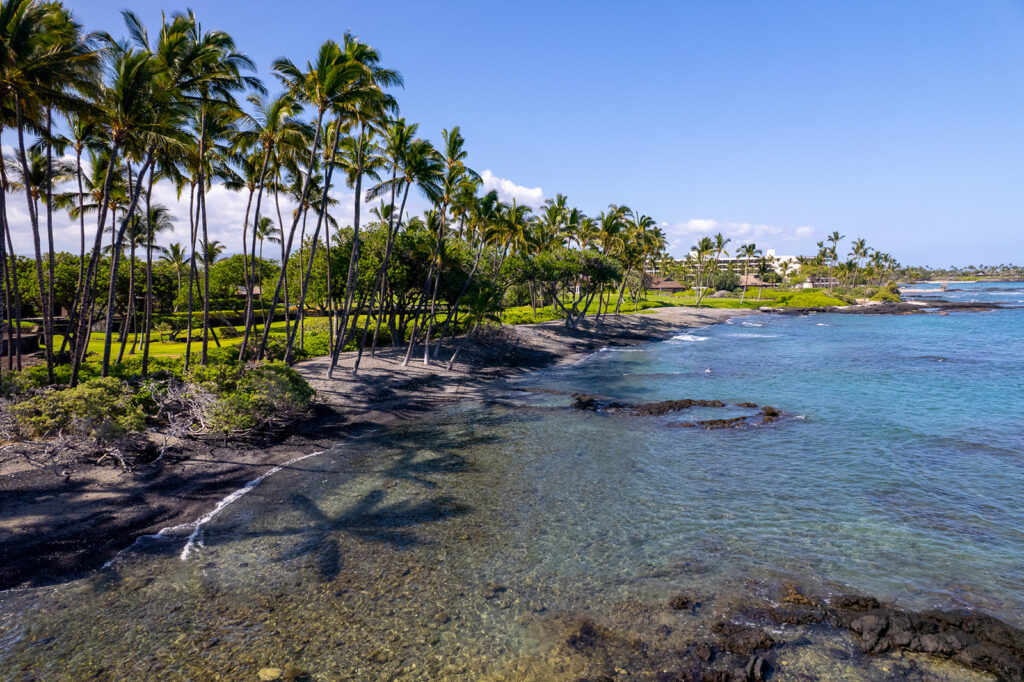 A tropical shoreline with clear blue water, black sand, rocks, and tall palm trees casting shadows&mdash;an idyllic setting under a bright sky, perfect for a Fairmont Orchid proposal. Charming houses nestle among the trees in the background.