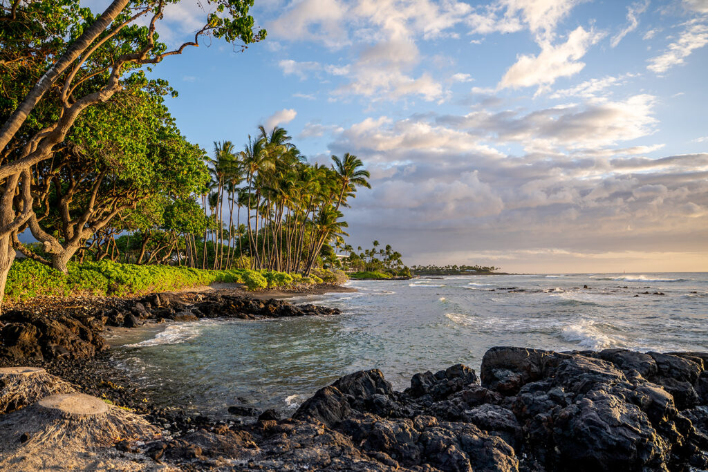 A tropical beach near the Fairmont Orchid sets the scene for a romantic proposal, with black volcanic rocks, palm trees, and lush greenery along the shore as gentle waves wash up under a sunset sky.