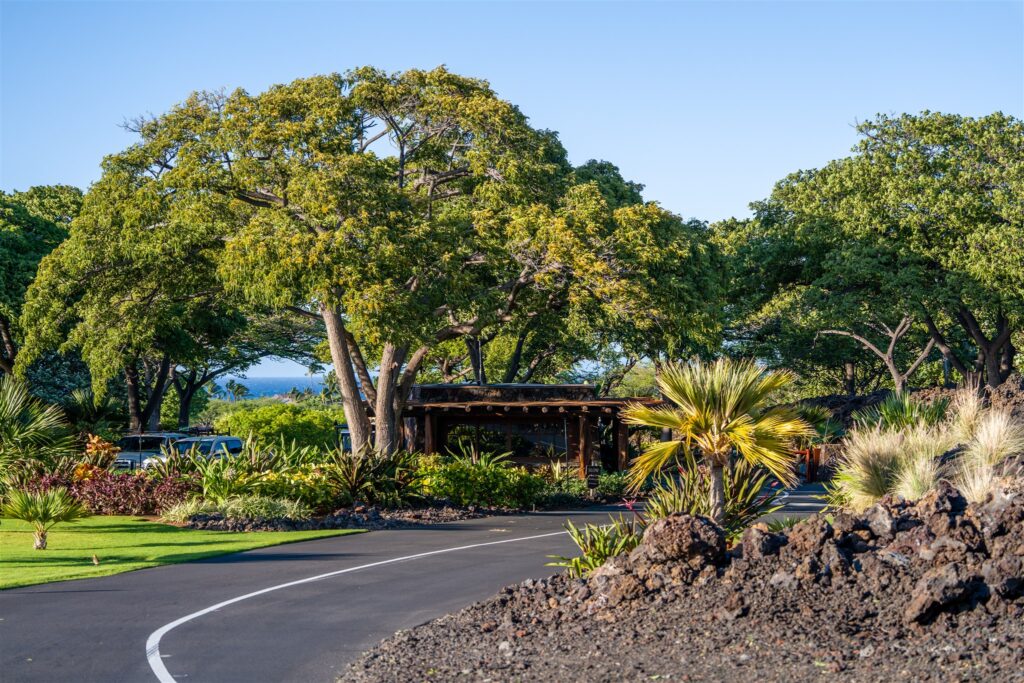 A winding paved road at Kikaua Point Park curves through lush, tropical landscaping with large green trees, palms, volcanic rocks, and a small rustic wooden shelter under clear blue skies.