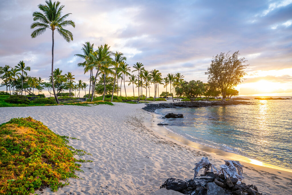A tropical beach at sunrise or sunset with golden sand, scattered rocks, lush green vegetation, and tall palm trees. Gentle waves wash up on the shore under a partly cloudy sky with soft sunlight.
