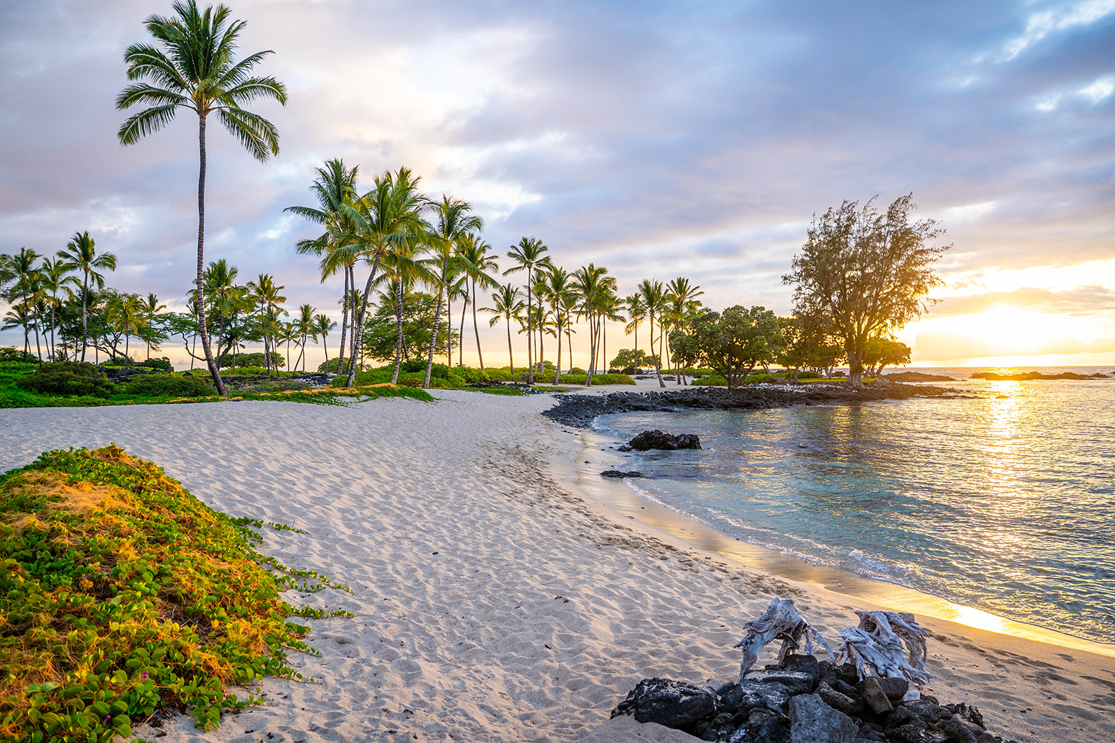 A tropical beach at sunrise or sunset with golden sand, scattered rocks, lush green vegetation, and tall palm trees. Gentle waves wash up on the shore under a partly cloudy sky with soft sunlight.
