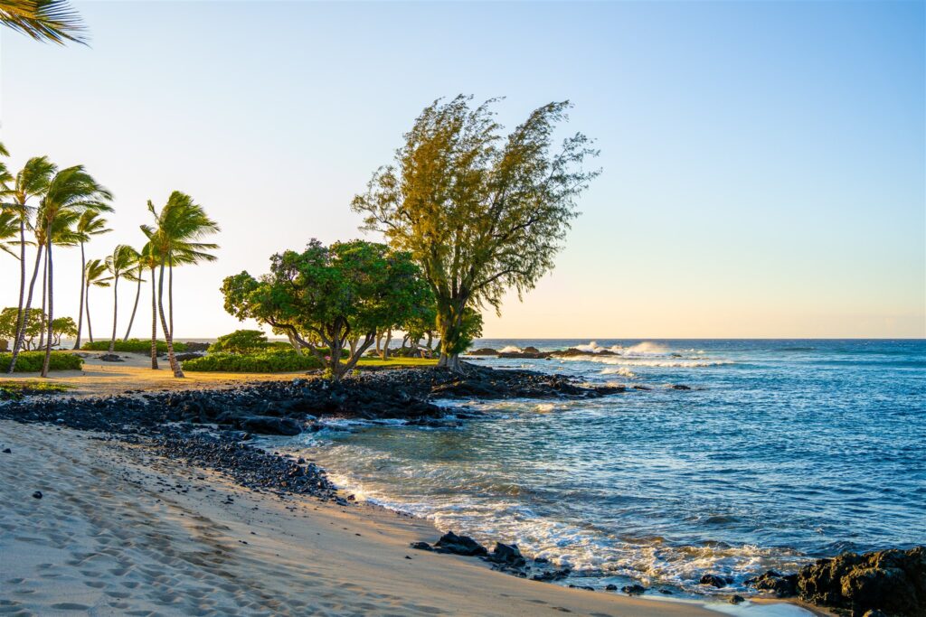 A sandy beach with palm trees and other green trees near the shoreline, black volcanic rocks, and gentle waves crashing under a clear blue sky at sunset.