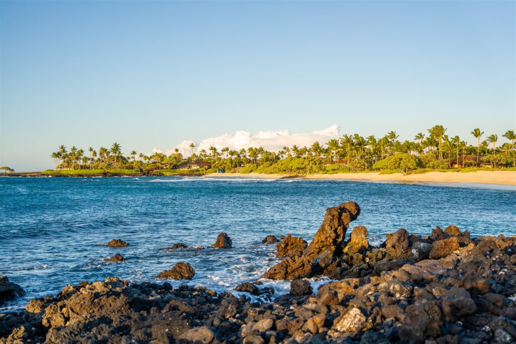 A sunny beach scene with turquoise water, dark volcanic rocks in the foreground, golden sand, and palm trees along the shore under a clear blue sky.