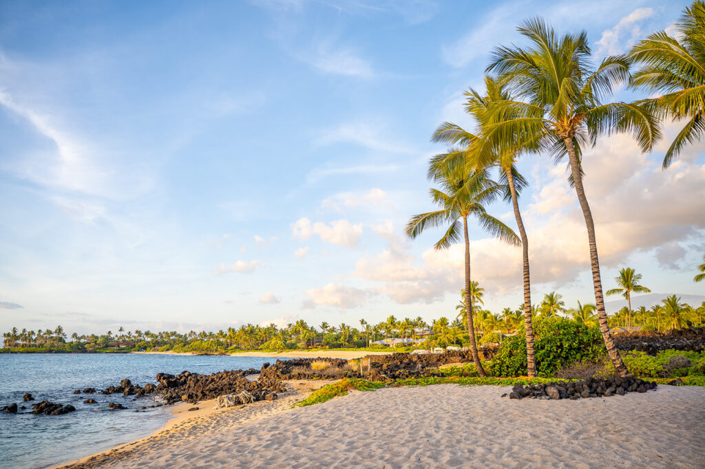 A sandy tropical beach with tall palm trees, black volcanic rocks, and clear blue ocean water under a partly cloudy sky during sunset. Greenery and more palm trees are visible in the background.