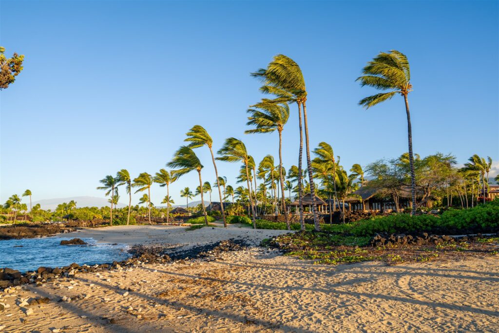 Sandy beach with clear blue sky, palm trees bending in the wind, green foliage, and distant huts along the shoreline. Waves gently lap at the shore.