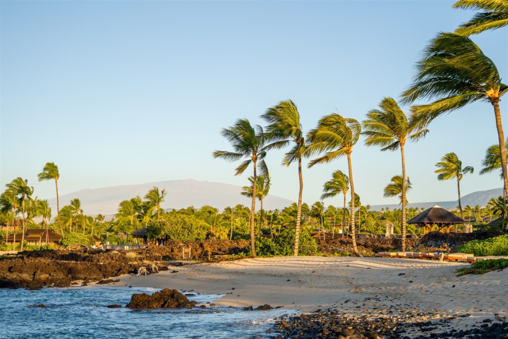 Palm trees sway above a sandy beach with scattered black rocks, bordered by lush greenery and distant huts, under a clear blue sky with a mountain visible in the background.
