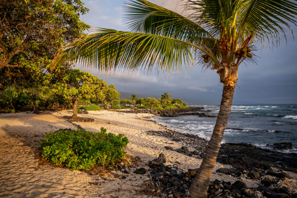 A sandy beach with green palm trees and lush vegetation lines the shore. Black volcanic rocks dot the coastline, and gentle waves roll in under a cloudy sky, with sunlight casting warm light over the scene.