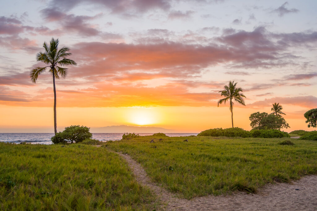 A scenic view of a tropical beach at sunset with two palm trees, grassy sand dunes, a dirt path, and the sun setting over the ocean under a colorful sky with clouds.