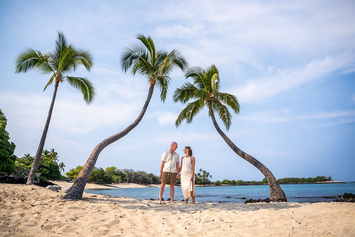hawaii souvenir photo of a couple under the palm trees