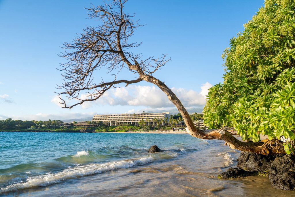 Mauna Kea Kaunaoa Beach Big Island Hawaii